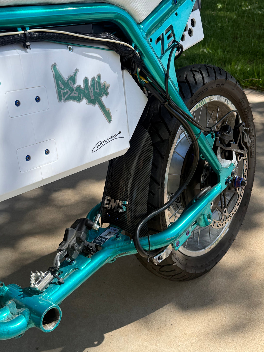 Carbon Rear Mud Guard.