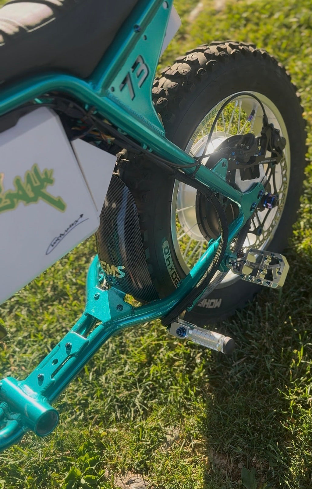 Carbon Rear Mud Guard.